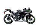 Ninja 300 (2013-2015)