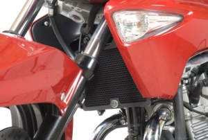 Suzuki Inazuma 250 (13-16) R&G Radiator Guard - spengineering.co.uk