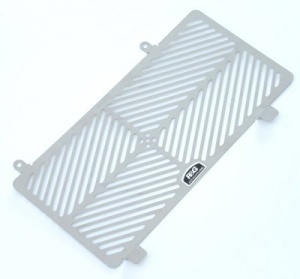 BMW F800 GS (2008-2018) R&G Stainless Steel Radiator Guard - SRG0005SS