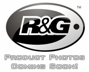 Kawasaki ZX-10 R & RR (2021) R&G Titanium Radiator Guard - RAD0266RACINGTI